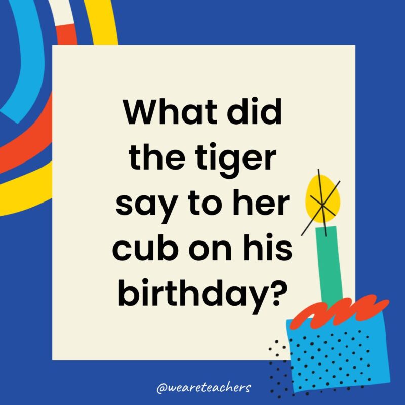 What did the tiger say to her cub on his birthday?