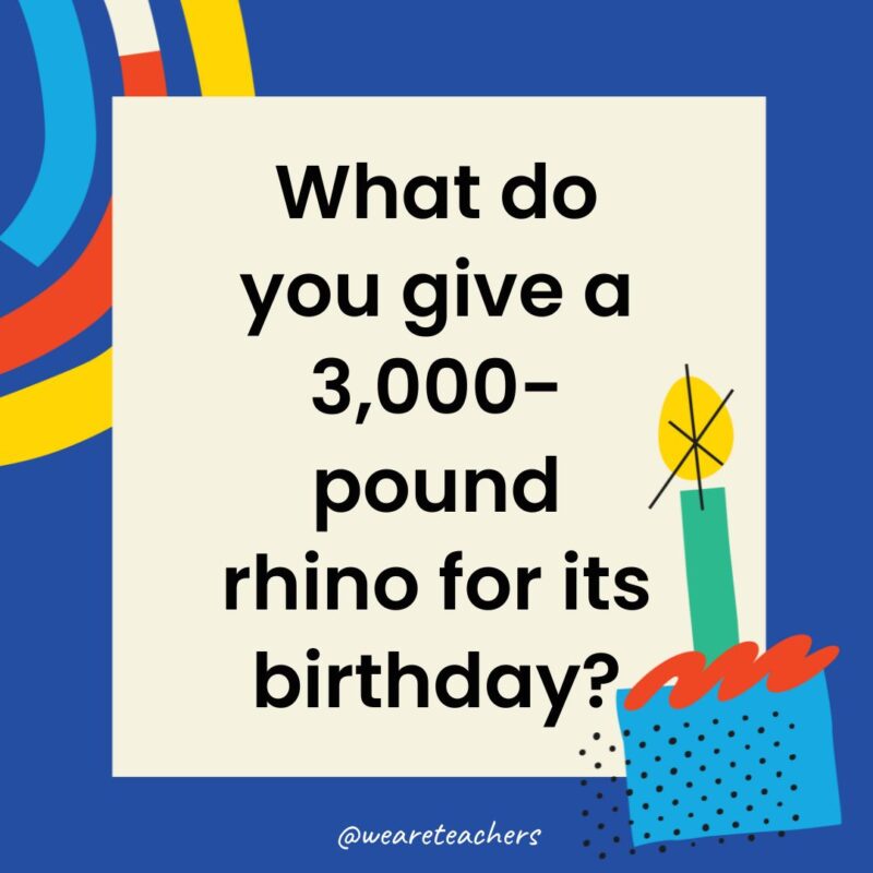What do you give a 3,000-pound rhino for its birthday?