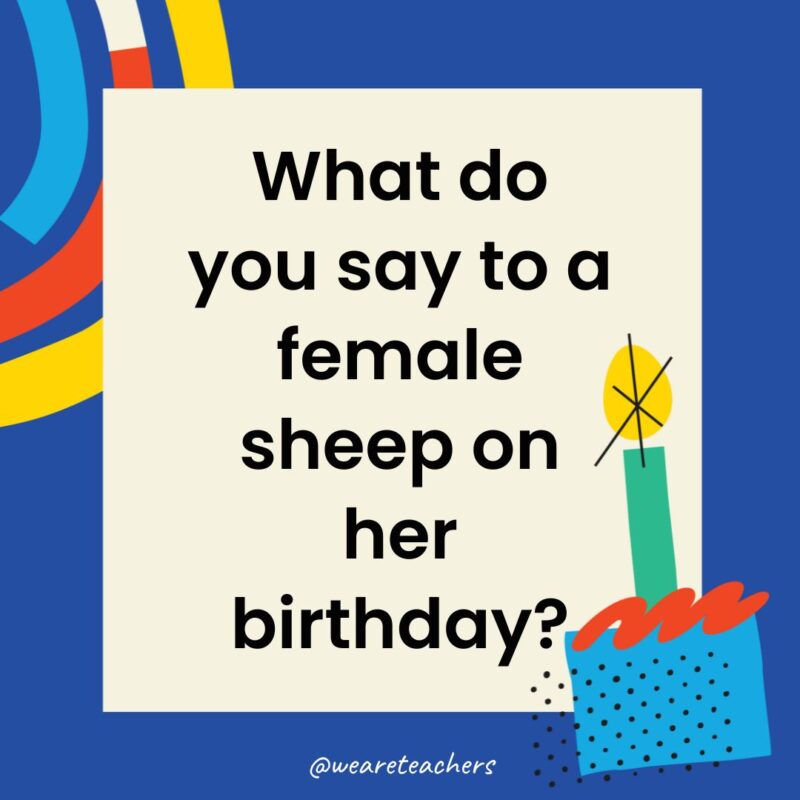 What do you say to a female sheep on her birthday?