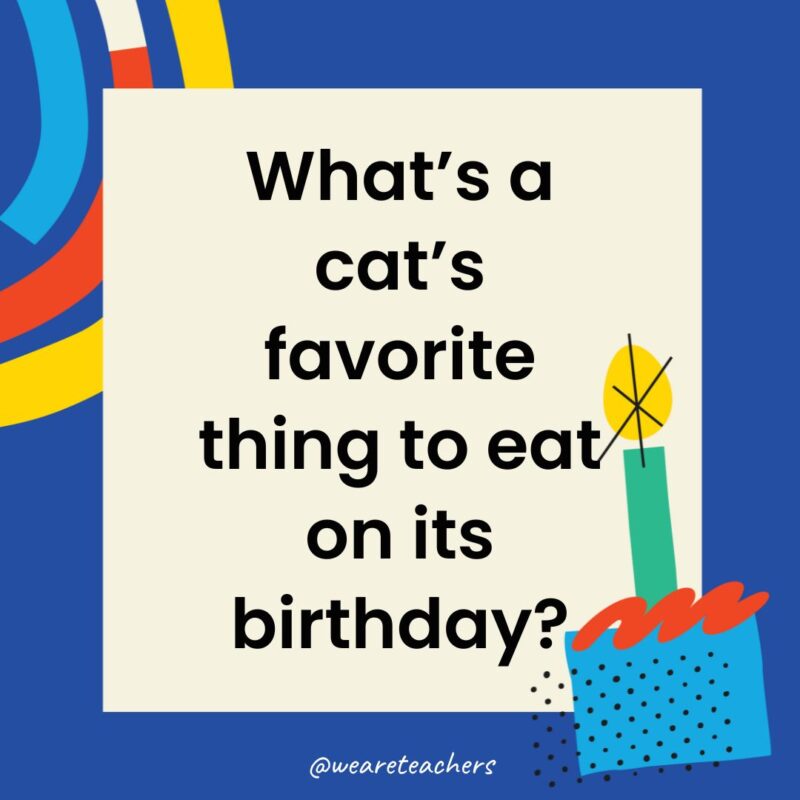 What’s a cat’s favorite thing to eat on its birthday?
