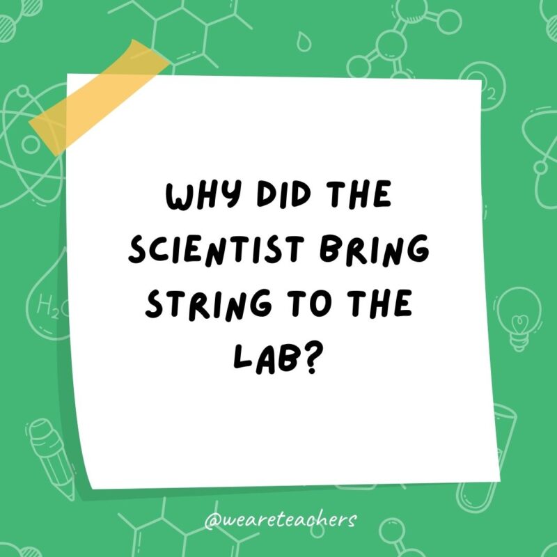 Why did the scientist bring string to the lab? Why did the scientist bring string to the lab?