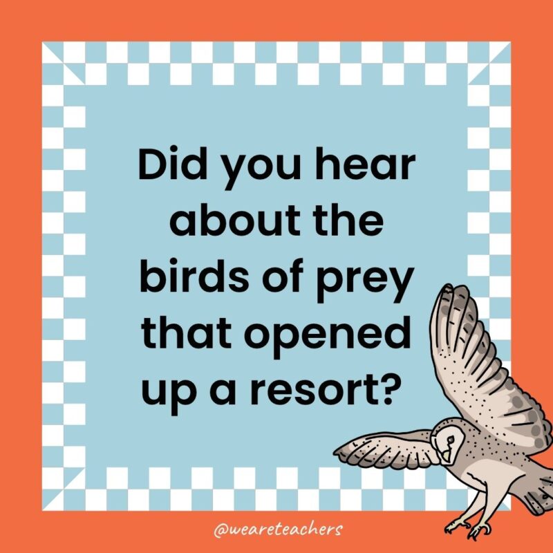 a joke that states: Did you hear about the birds of prey that opened up a resort? 