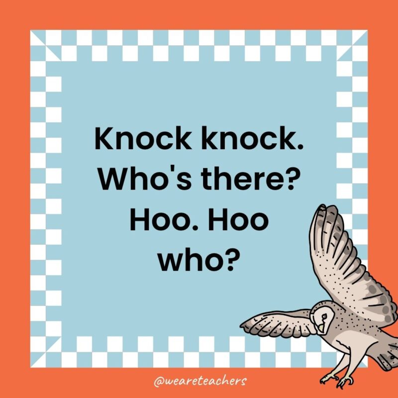 a joke that states: Knock knock. Who's there? Hoo. Hoo who?