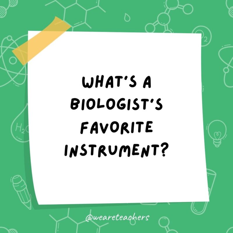 What’s a biologist’s favorite instrument? What’s a biologist’s favorite instrument?- science jokes