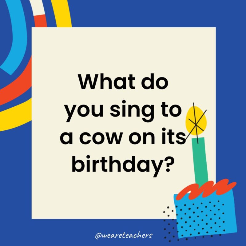 What do you sing to a cow on its birthday?
