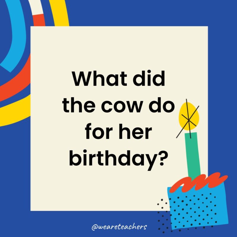 What did the cow do for her birthday?