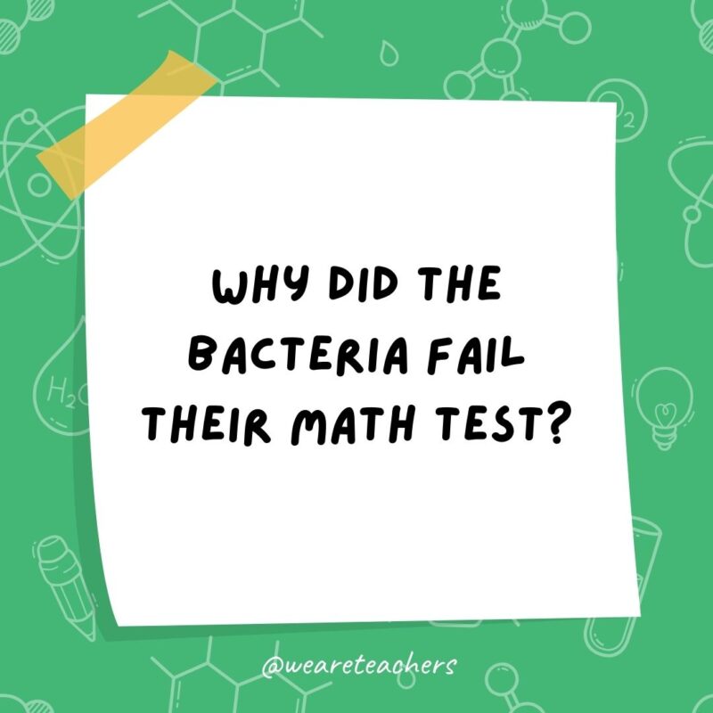 Why did the bacteria fail their math test? Why did the bacteria fail their math test?- science jokes