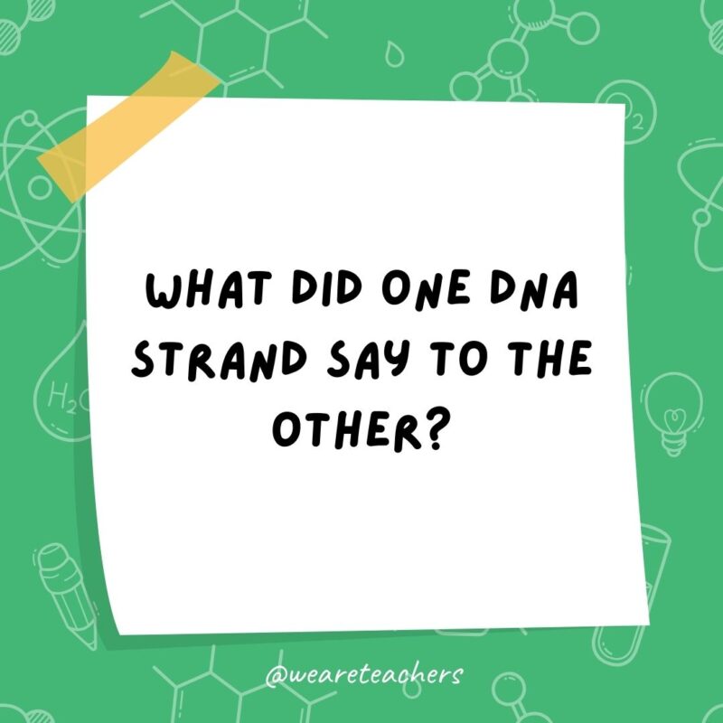 What did one DNA strand say to the other? What did one DNA strand say to the other?