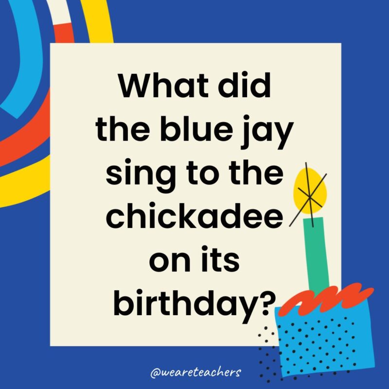 What did the blue jay sing to the chickadee on its birthday?