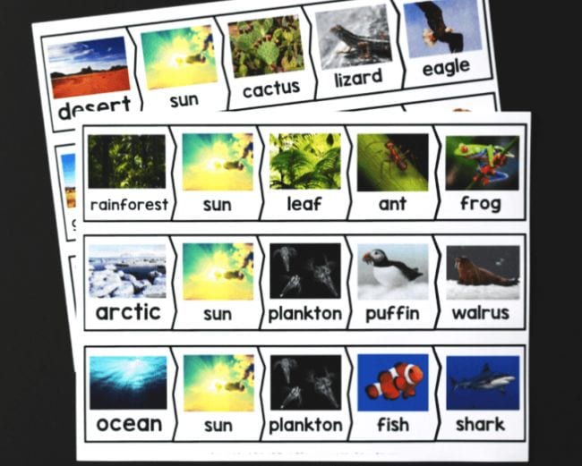 Food Webs A Dab of Glue Will Do A paper features many different puzzle pieces that include photos of animals, environments, and the sun.