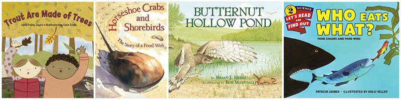 Food Webs Books Four book covers are shown.