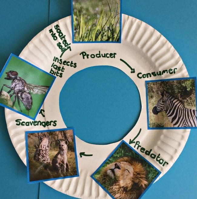Food Webs Family Learning Together A paper plate with the center cut out features photos of animals in this example of a food webs activity.