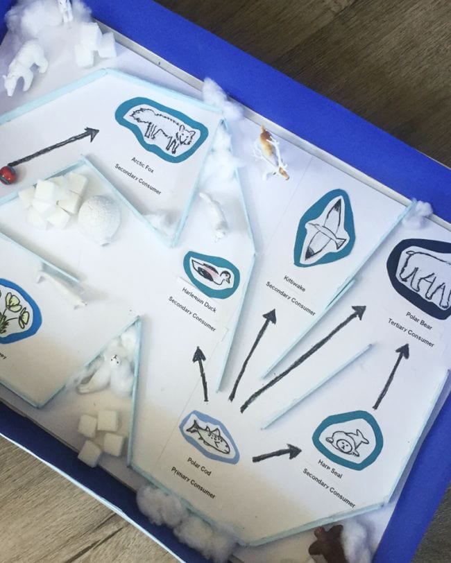 Food Webs Maze A homemade maze is based on a food web in this food webs activity.