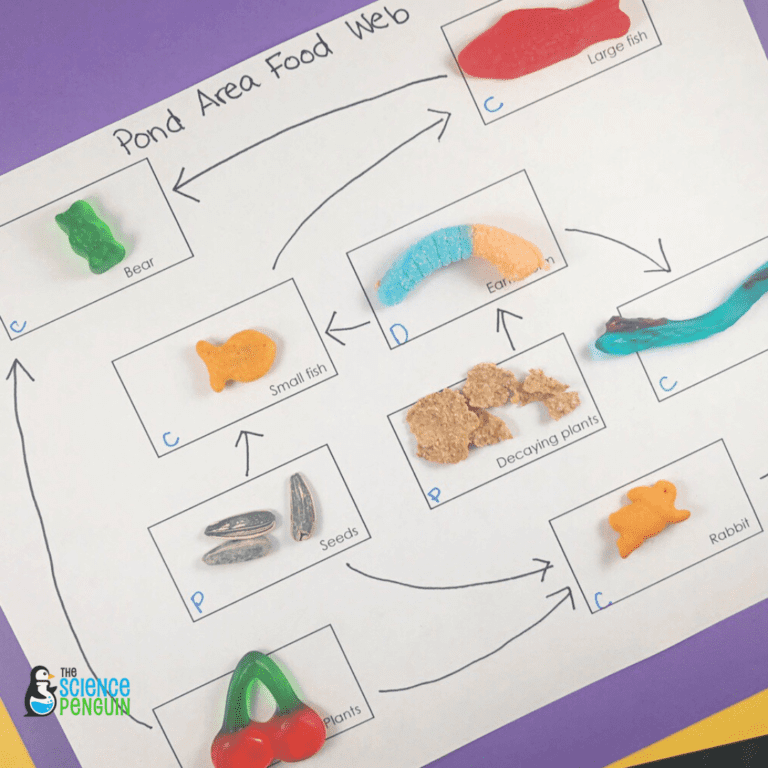 Food Web Snacks A piece of paper shows a food chain. Snacks stand in for different animals and creatures like goldfish crackers.