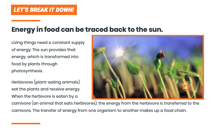 Food Webs Informational Text Printable Sample informational text for students about food webs