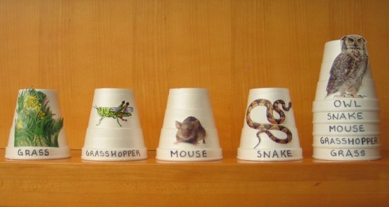Food Chain Animal Stacking Cups Several white cups have pictures of different animals on them and are labeled with animal names. The last cup is stacked inside other cups with other animal names visible.
