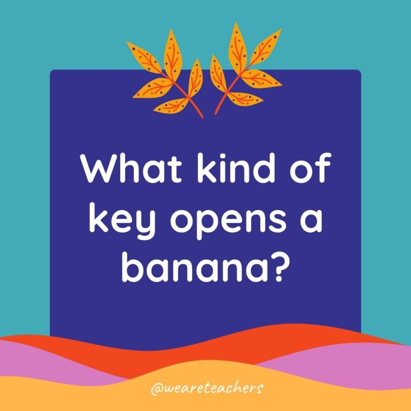 Animal Jokes for Kids