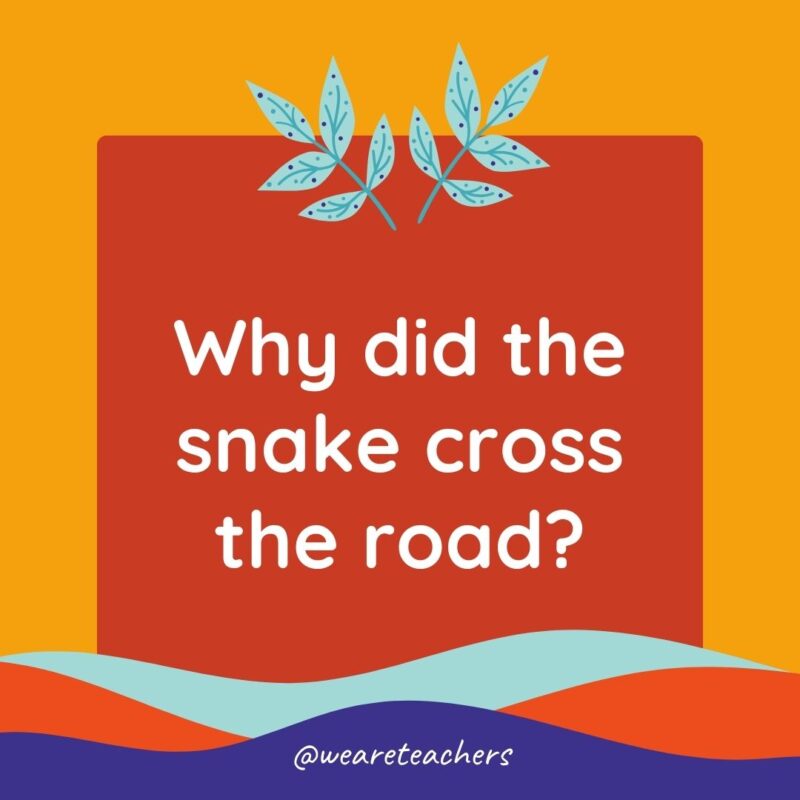 Animal Jokes for Kids