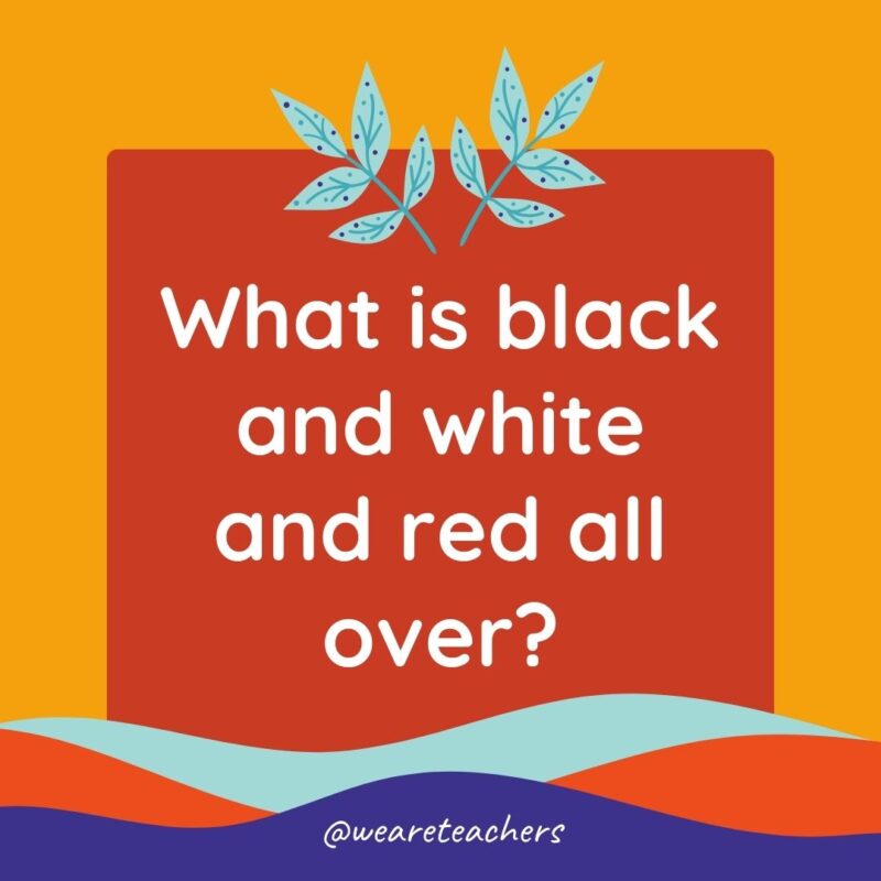 Animal Jokes for Kids