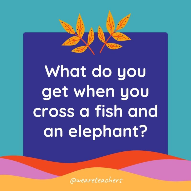 Animal Jokes for Kids