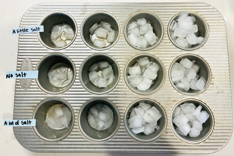 a cupcake tray filled with melting ice cubes and one row has a lot of salt, one row has no salt and one row has a lot of salt