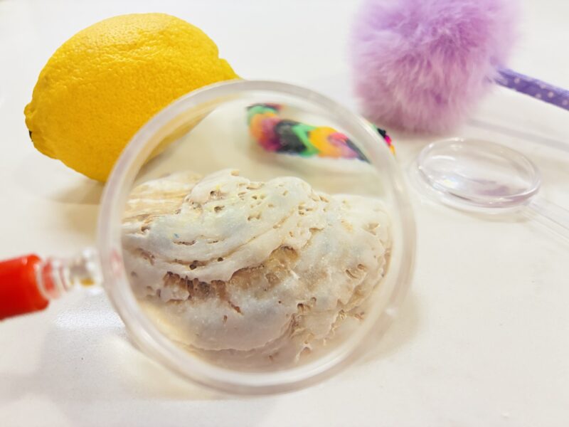 Five Senses Activities an image of a student examining different objects with a magnifying glass